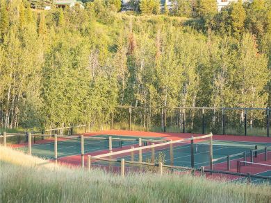 Steamboat Springs Home 927847