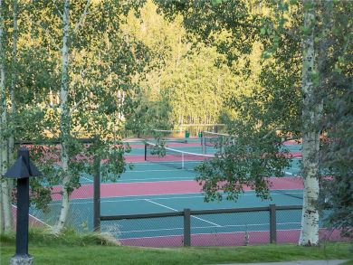 Steamboat Springs Home 927847
