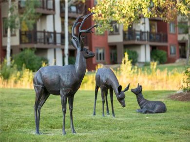 Steamboat Springs Home 927847