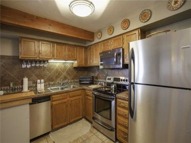Steamboat Springs Home 927848