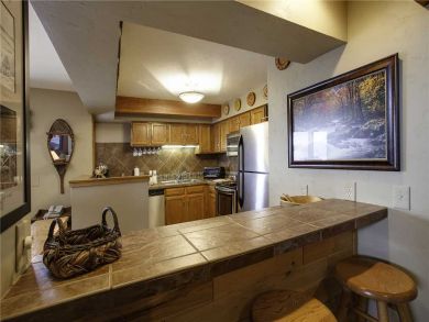 Steamboat Springs Home 927848