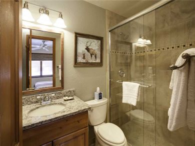 Steamboat Springs Home 927848