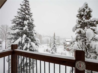 Steamboat Springs Home 927848