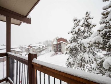 Steamboat Springs Home 927848