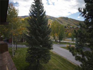 Steamboat Springs Home 927848