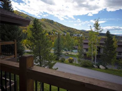 Steamboat Springs Home 927848