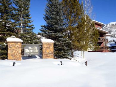 Steamboat Springs Home 927848