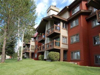 Steamboat Springs Home 927848