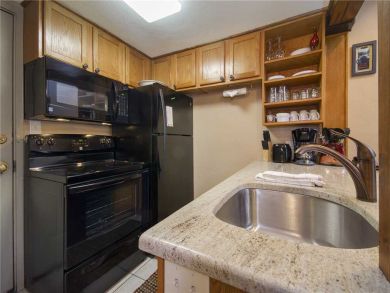 Steamboat Springs Home 927849