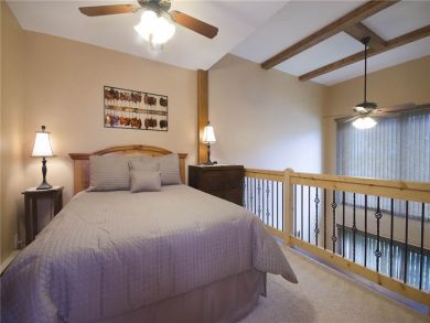 Steamboat Springs Home 927849