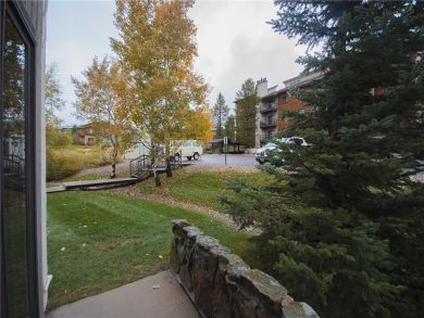 Steamboat Springs Home 927849