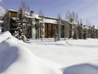 Steamboat Springs Home 927849