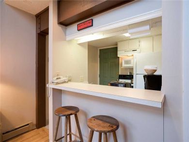 Steamboat Springs Home 927851