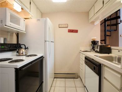 Steamboat Springs Home 927851