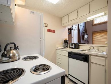 Steamboat Springs Home 927851
