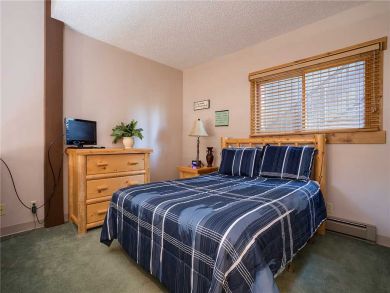 Steamboat Springs Home 927851