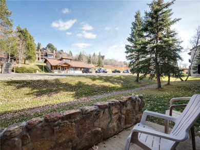 Steamboat Springs Home 927851