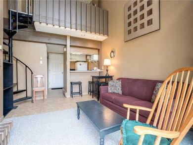 Steamboat Springs Home 927853