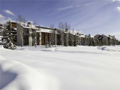 Steamboat Springs Home 927853