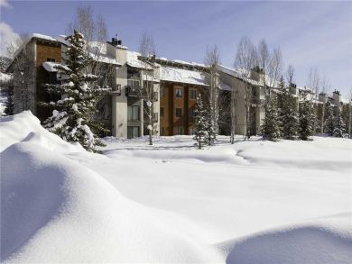 Steamboat Springs Home 927853