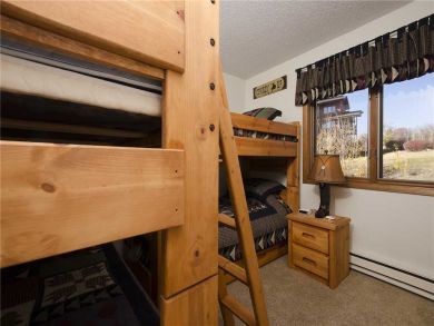 Steamboat Springs Home 927854
