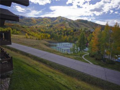 Steamboat Springs Home 927854