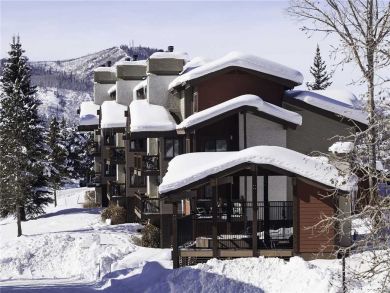 Steamboat Springs Home 927854