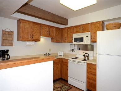 Steamboat Springs Home 927855