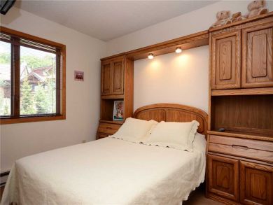 Steamboat Springs Home 927855