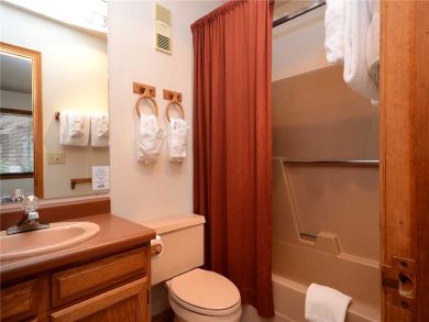 Steamboat Springs Home 927855