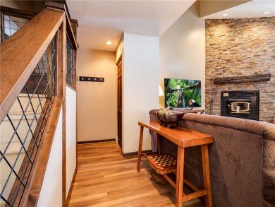 Steamboat Springs Home 927856
