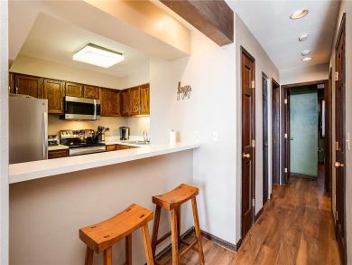 Steamboat Springs Home 927856