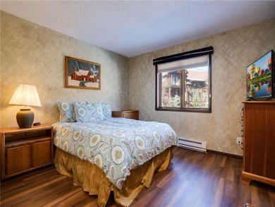 Steamboat Springs Home 927856