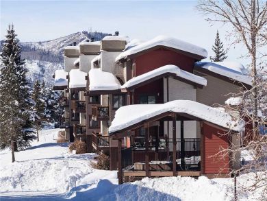 Steamboat Springs Home 927856