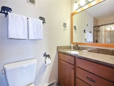 Steamboat Springs Home 927857