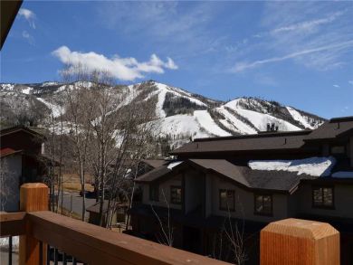 Steamboat Springs Home 927857