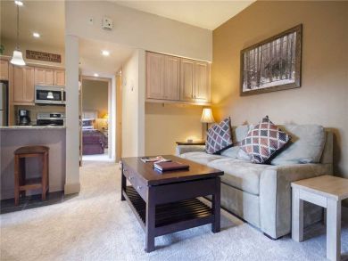 Steamboat Springs Home 927858