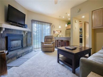 Steamboat Springs Home 927858