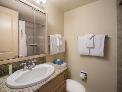 Steamboat Springs Home 927858