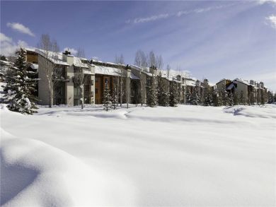 Steamboat Springs Home 927858