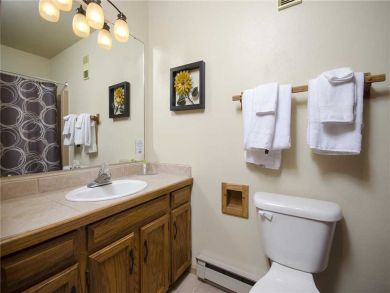 Steamboat Springs Home 927859 Steamboat Springs Home 927859