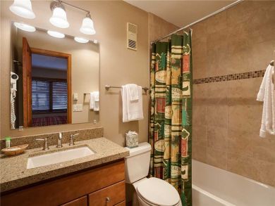 Steamboat Springs Home 927860