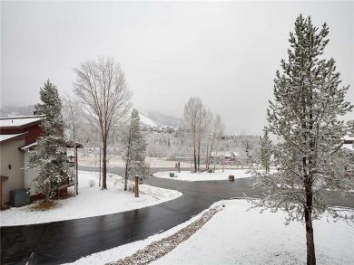 Steamboat Springs Home 927860