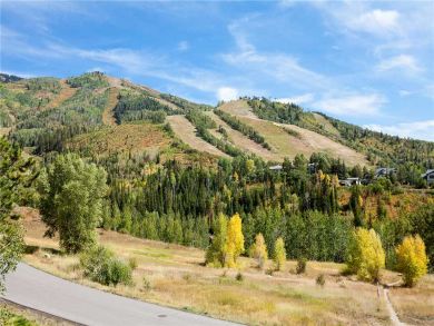 Steamboat Springs Home 927861 Steamboat Springs Home 927861