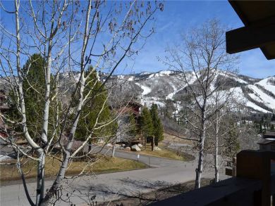 Steamboat Springs Home 927862 Steamboat Springs Home 927862