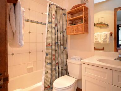 Steamboat Springs Home 927864