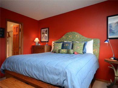 Steamboat Springs Home 927864