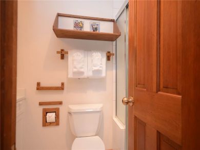 Steamboat Springs Home 927864