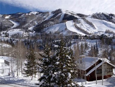 Steamboat Springs Home 927864