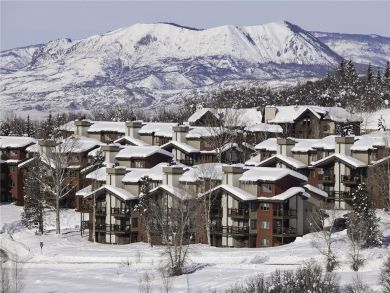 Steamboat Springs Home 927864